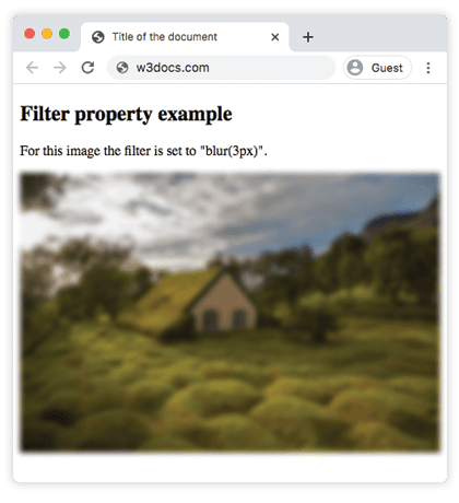 Uma imagem com o filtro CSS blur(3px) aplicado