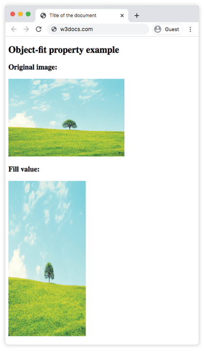 Valor fill do CSS object-fit esticando uma imagem